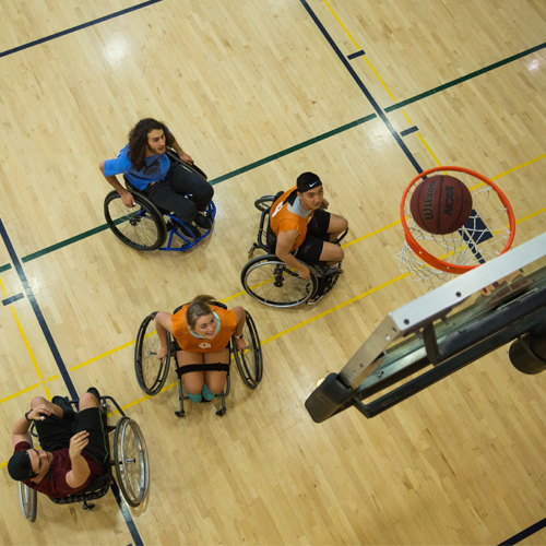 four people in wheelchairs watch a basketball go in the hoop 